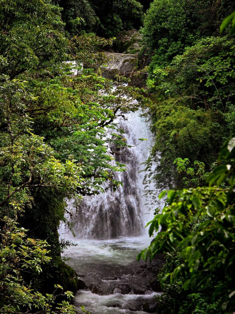 Catarata Cloudbridge