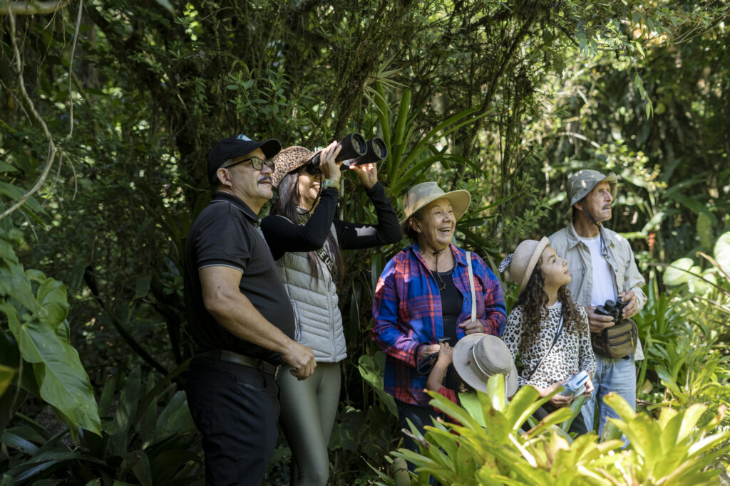 Tour en Jardines Secretos