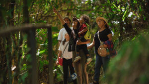 Qué hacer en vacaciones de 15 días en Costa Rica